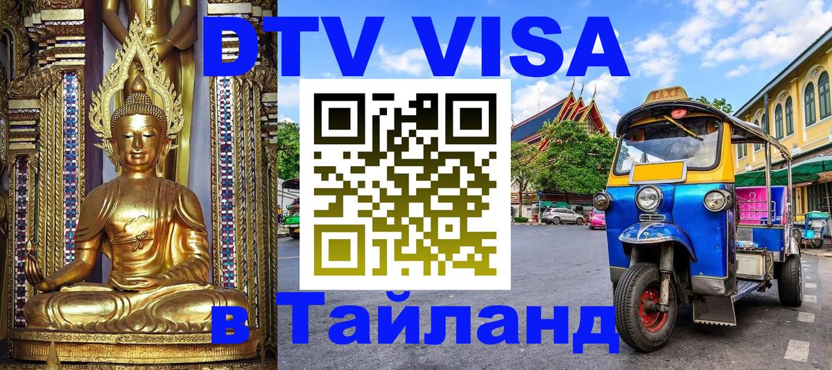 Сколько стоит DTV виза — актуальные цены, оформление даже без документов - 18.11.2025 